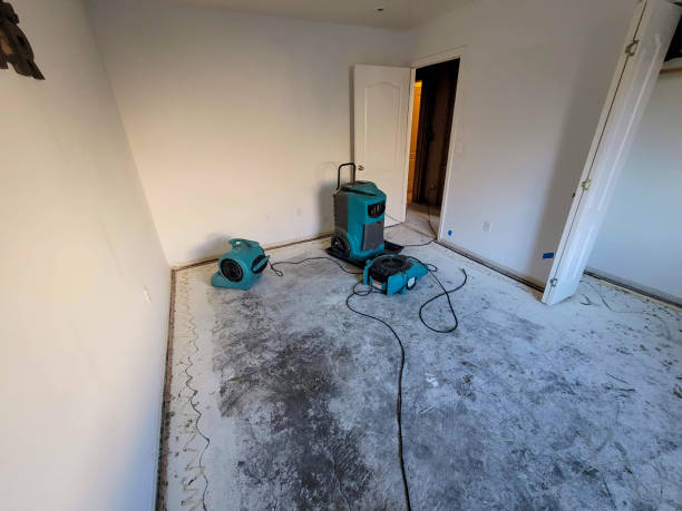 Best 24/7 water damage repair  in Mansura, LA