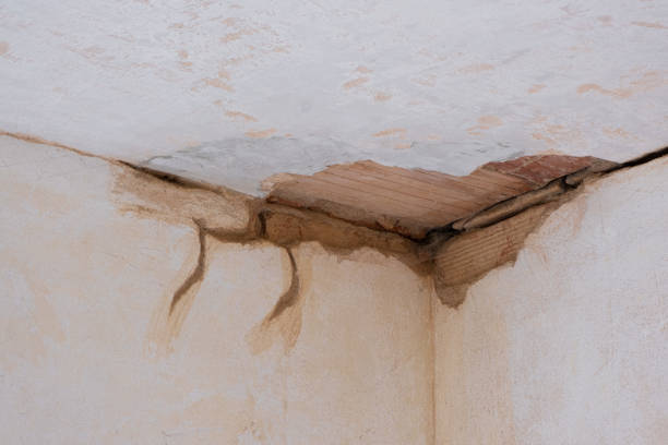 Best Flood damage cleanup  in Mansura, LA