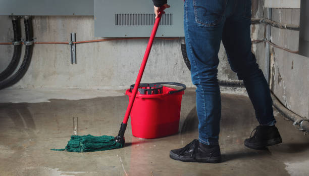 , LA Water damage restoration Company