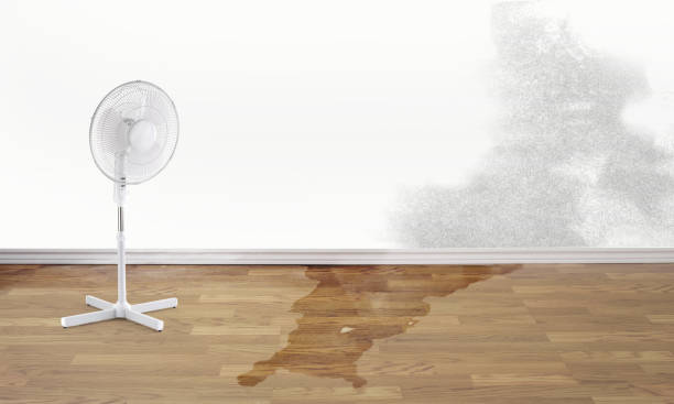 Water damage restoration mold remediation in LA