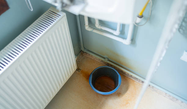 Best Water damage contractors near me  in Mansura, LA