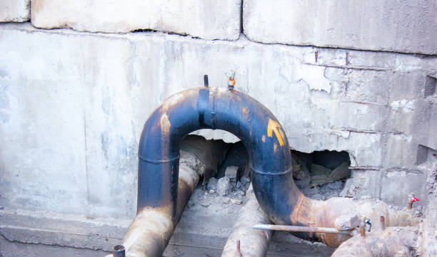 Best Flood damage cleanup  in Mansura, LA