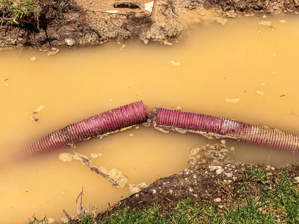 Best 24/7 water damage repair  in Mansura, LA